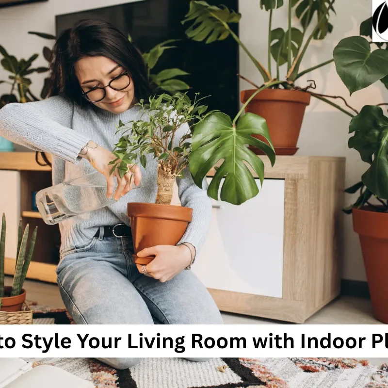 Indoor Plants