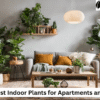 Indoor Plants