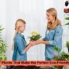 Eco-Friendly Gift