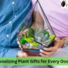 Plant Gifts for Every Occasion