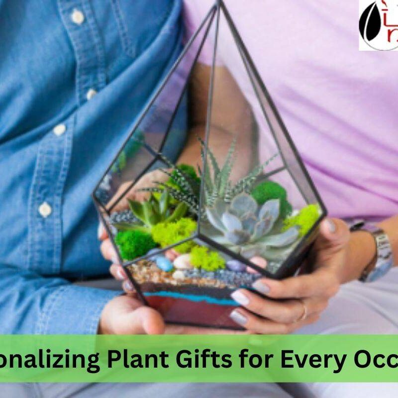 Plant Gifts for Every Occasion
