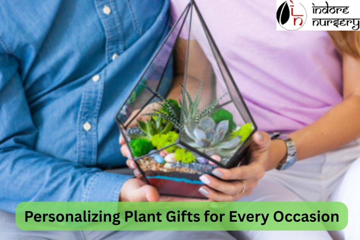 Personalizing Plant Gifts for Every Occasion