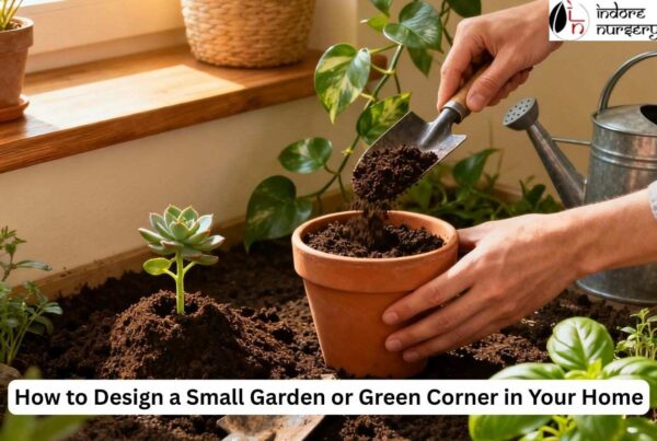 Small garden for backyard