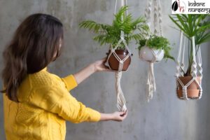Indoor care guide