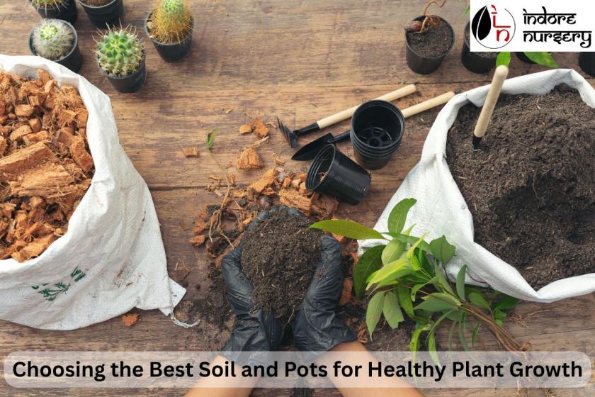 Choosing the Best Soil and Pots for Healthy Plant Growth