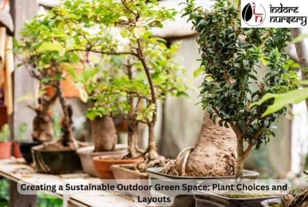 Creating a Sustainable Outdoor Green Space: Plant Choices and Layouts