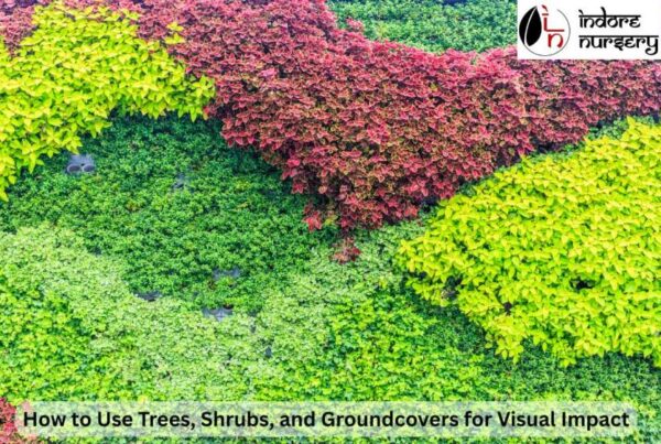 trees, shrubs and groundcovers