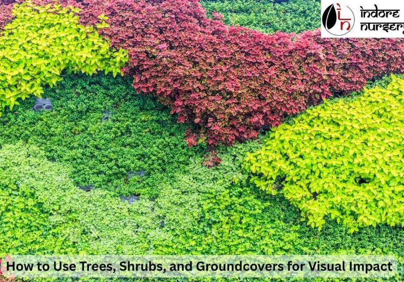 trees, shrubs and groundcovers