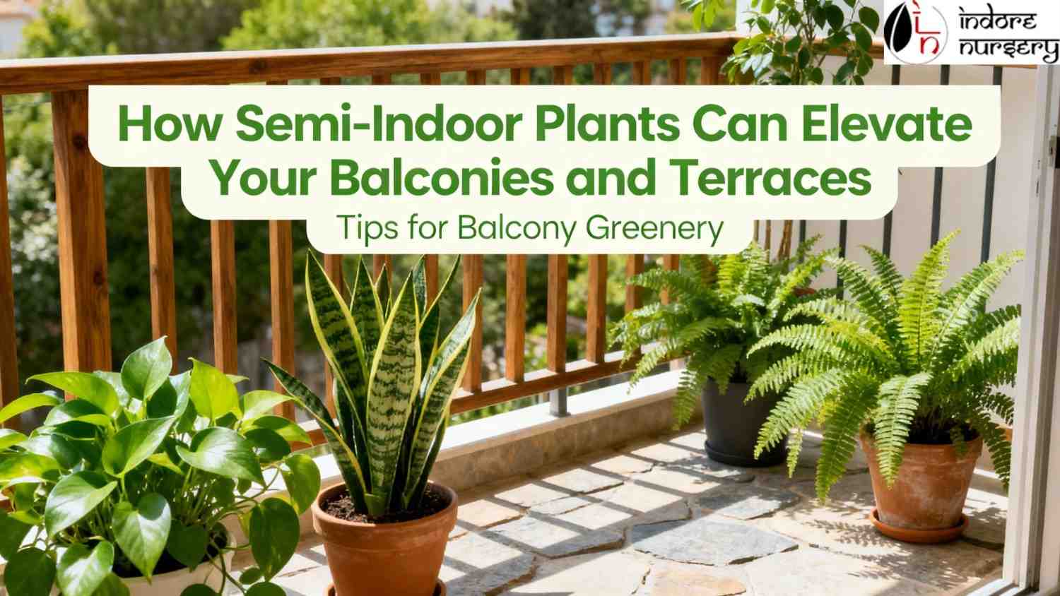 How Semi-Indoor Plants Can Elevate Your Balconies and Terraces