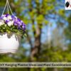 DIY Hanging Planter Ideas and Plant Combinations
