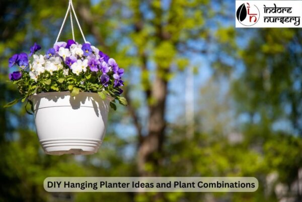 DIY Hanging Planter Ideas and Plant Combinations