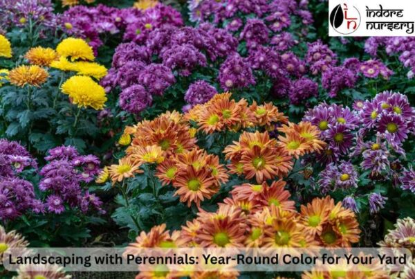 Landscaping with Perennials