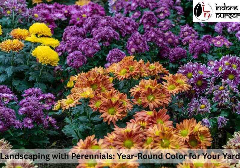 Landscaping with Perennials