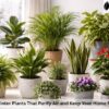 10 winter plants