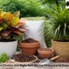 How to Choose the Right Soil Mix for Crotons and Dracaenas