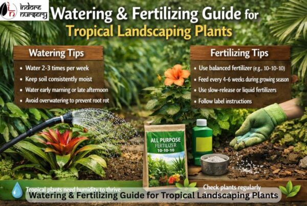 Watering & Fertilizing Guide for Tropical Landscaping Plants