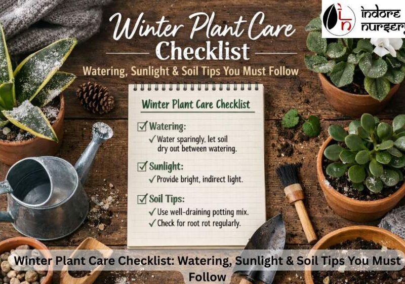 winter plants care checklist