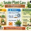 Snake Plant Care for Beginners: Light, Water & Maintenance Tips