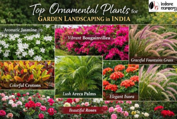 Top Ornamental Plants for Garden Landscaping in India